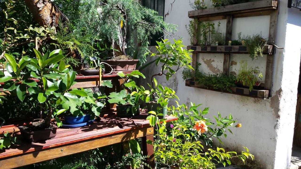 Casa Coimbra Ξενοδοχείο Εξωτερικό φωτογραφία