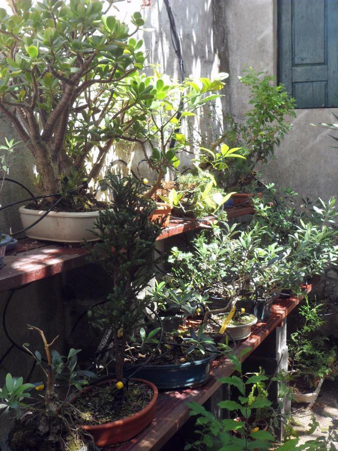 Casa Coimbra Ξενοδοχείο Εξωτερικό φωτογραφία