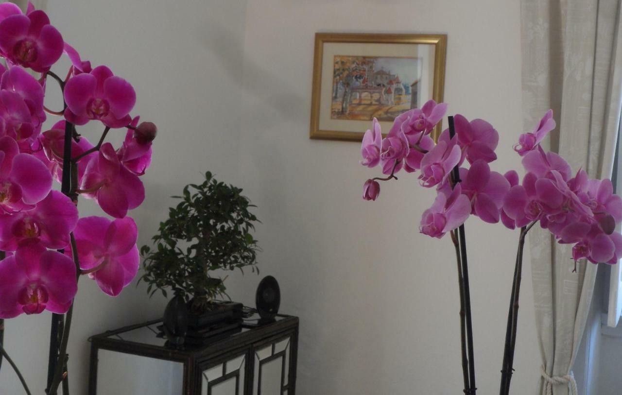 Casa Coimbra Ξενοδοχείο Εξωτερικό φωτογραφία