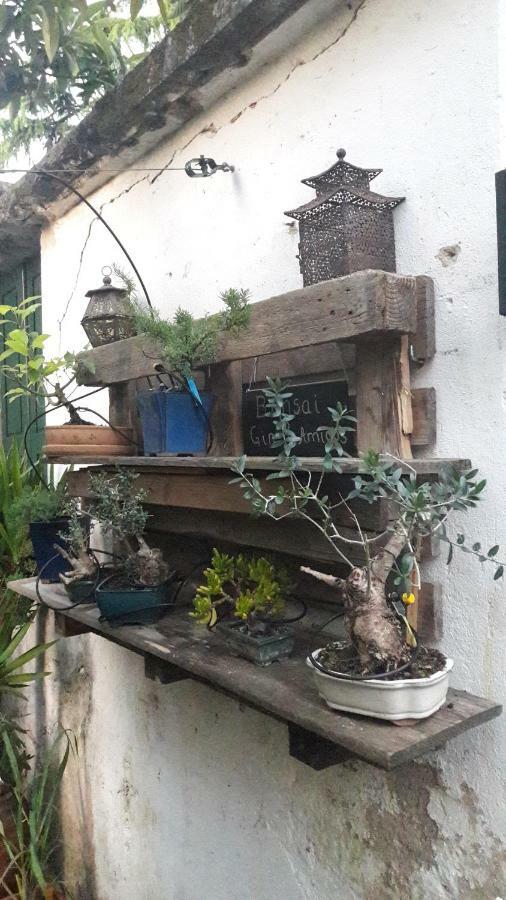 Casa Coimbra Ξενοδοχείο Εξωτερικό φωτογραφία